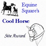 Equine Square's Award