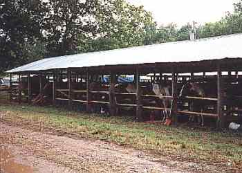 covered stall